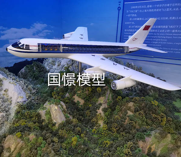 马山县飞机模型